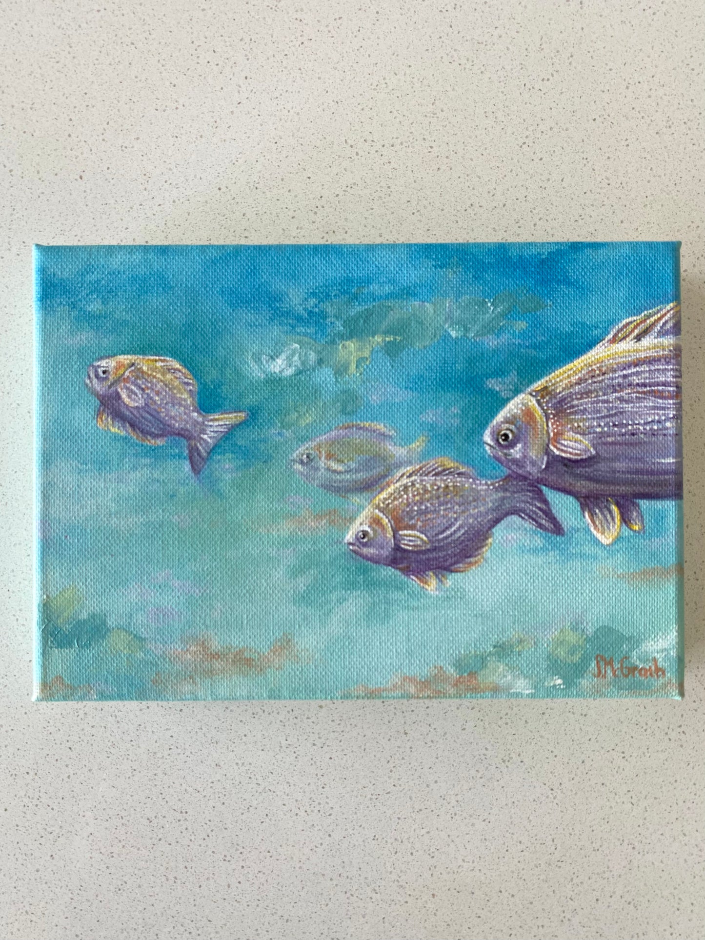 Ocean Fish
