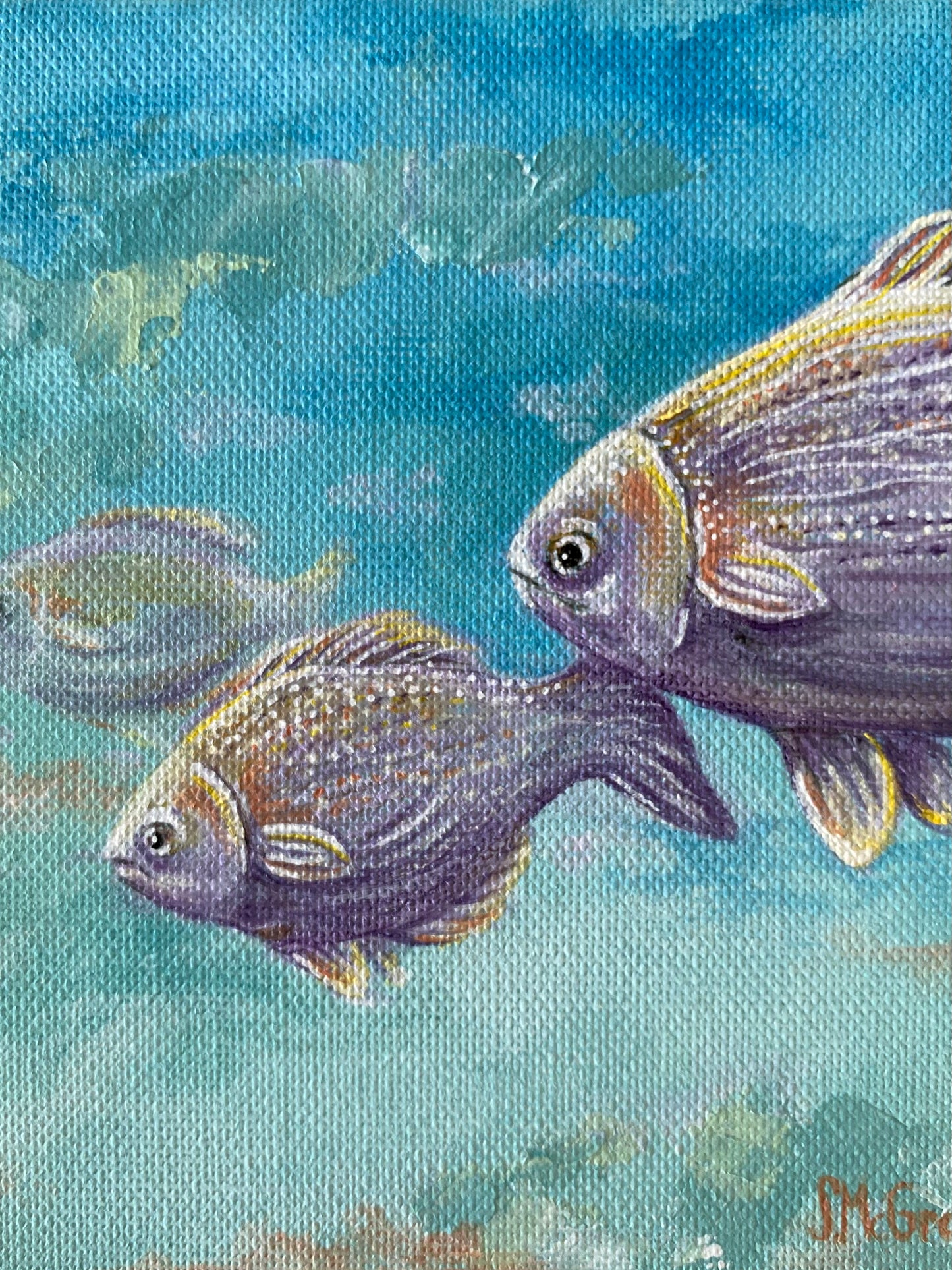 Ocean Fish