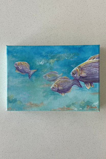 Ocean Fish