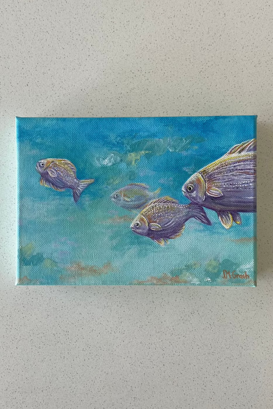 Ocean Fish